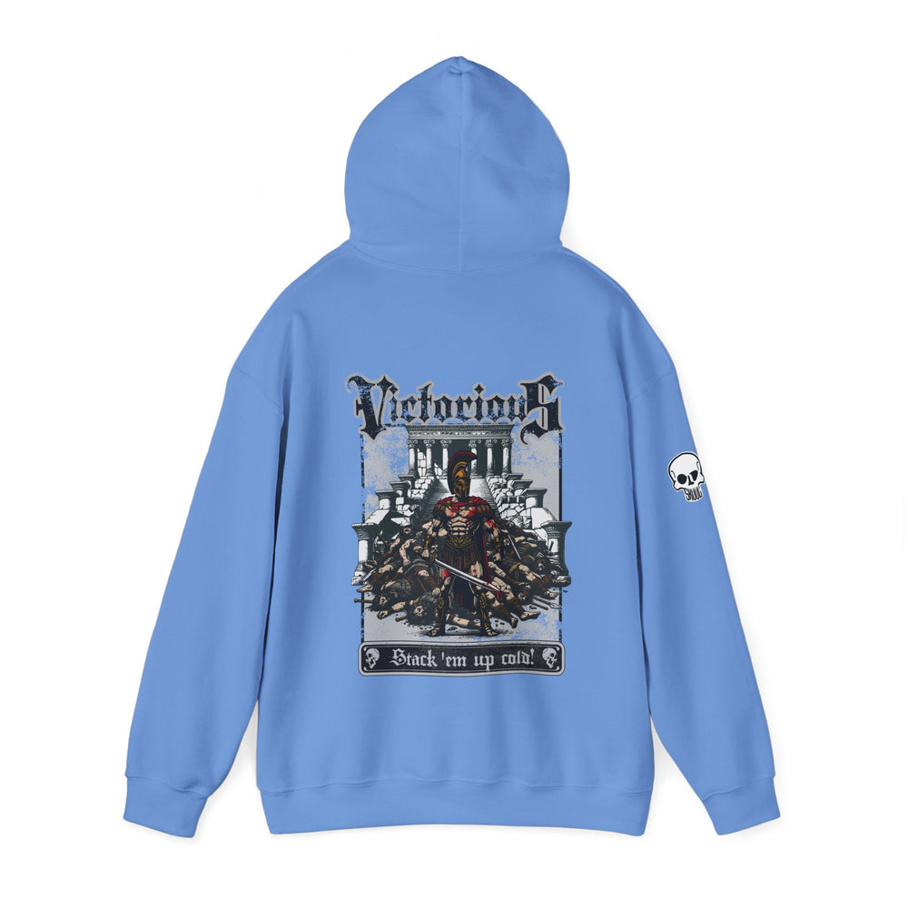 VICTORIOUS HOODIE