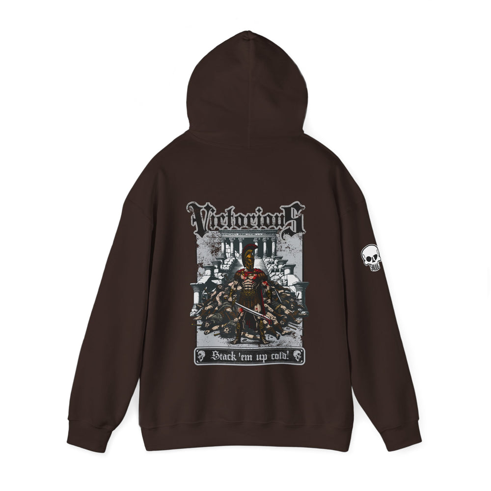 VICTORIOUS HOODIE