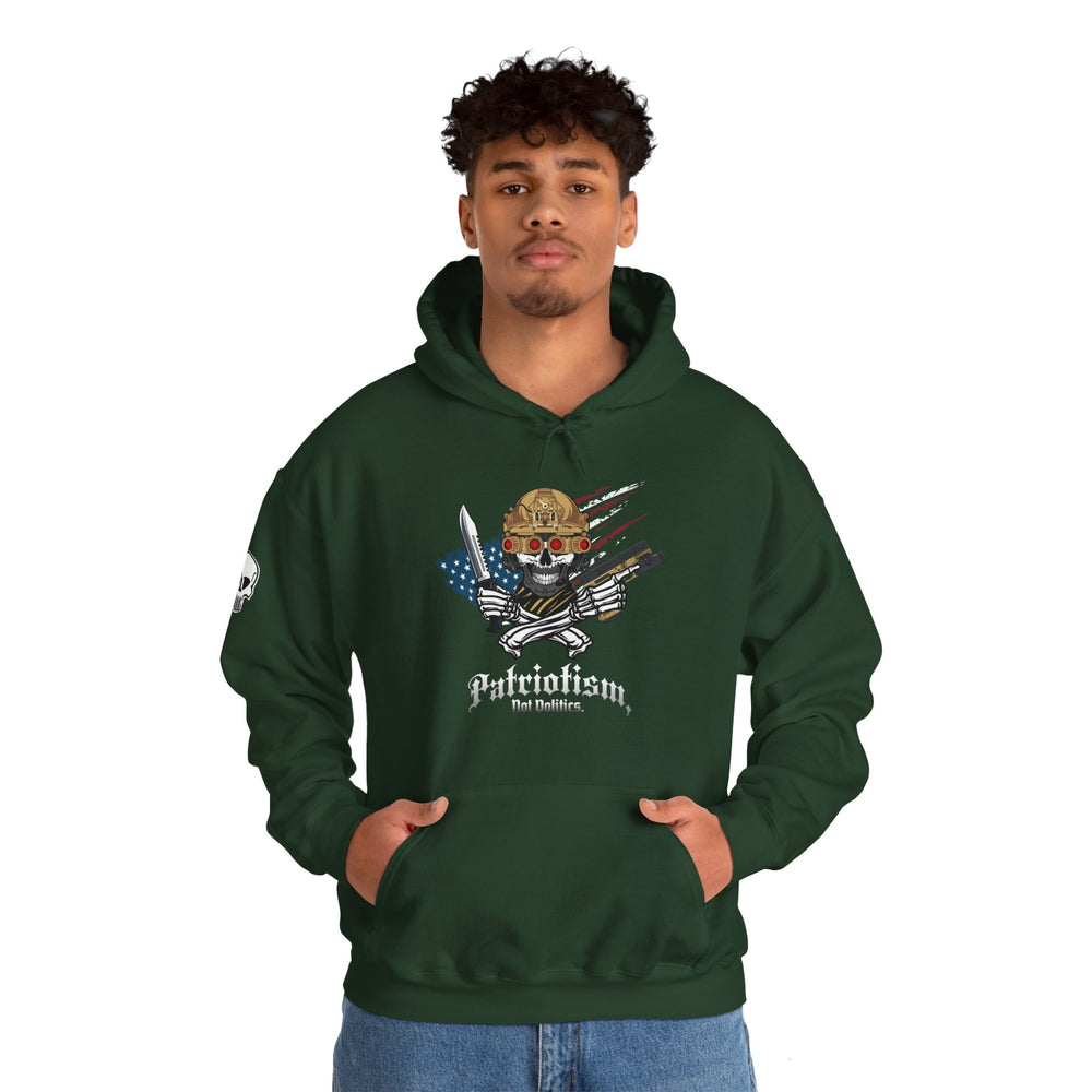 PATRIOTISM NOT POLITICS HOODIE