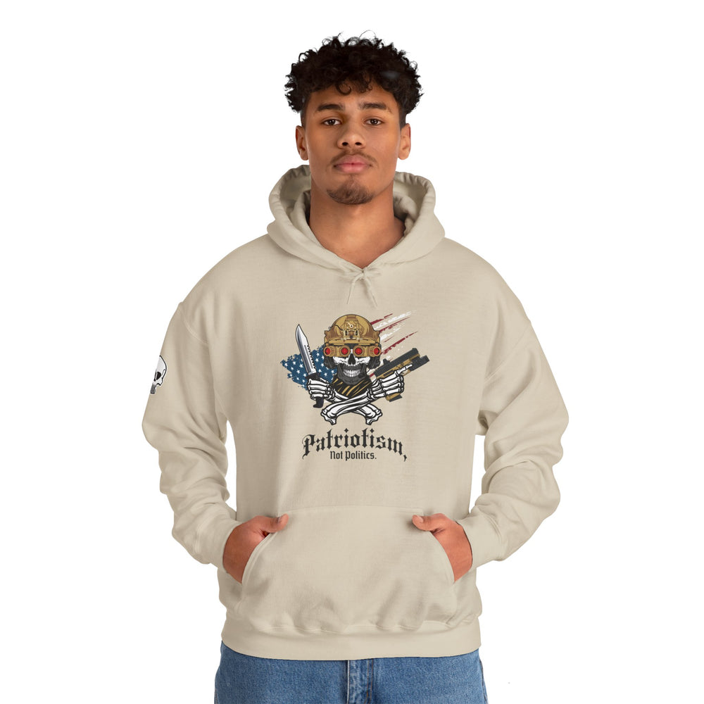 PATRIOTISM NOT POLITICS HOODIE