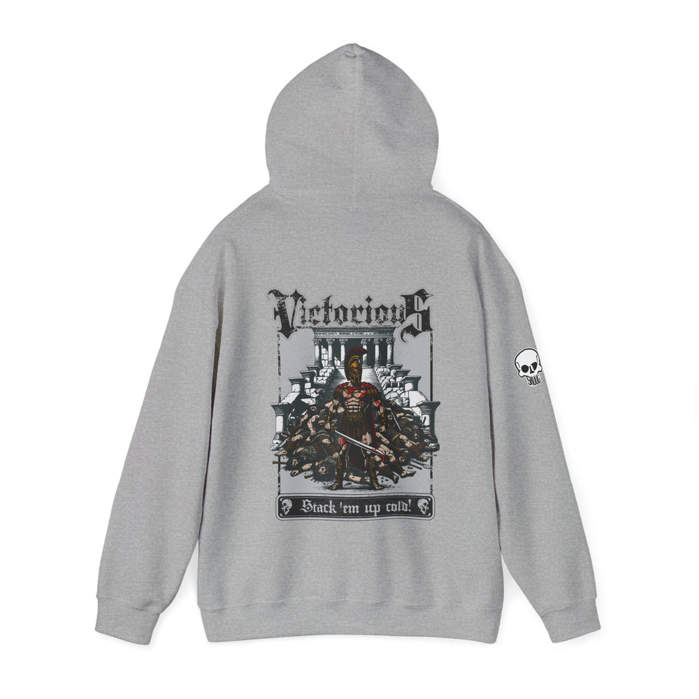 VICTORIOUS HOODIE