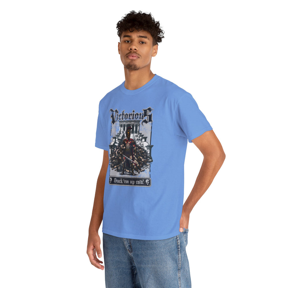 VICTORIOUS T SHIRT