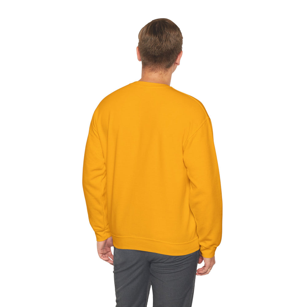 ALPHA ONE SWEATSHIRT