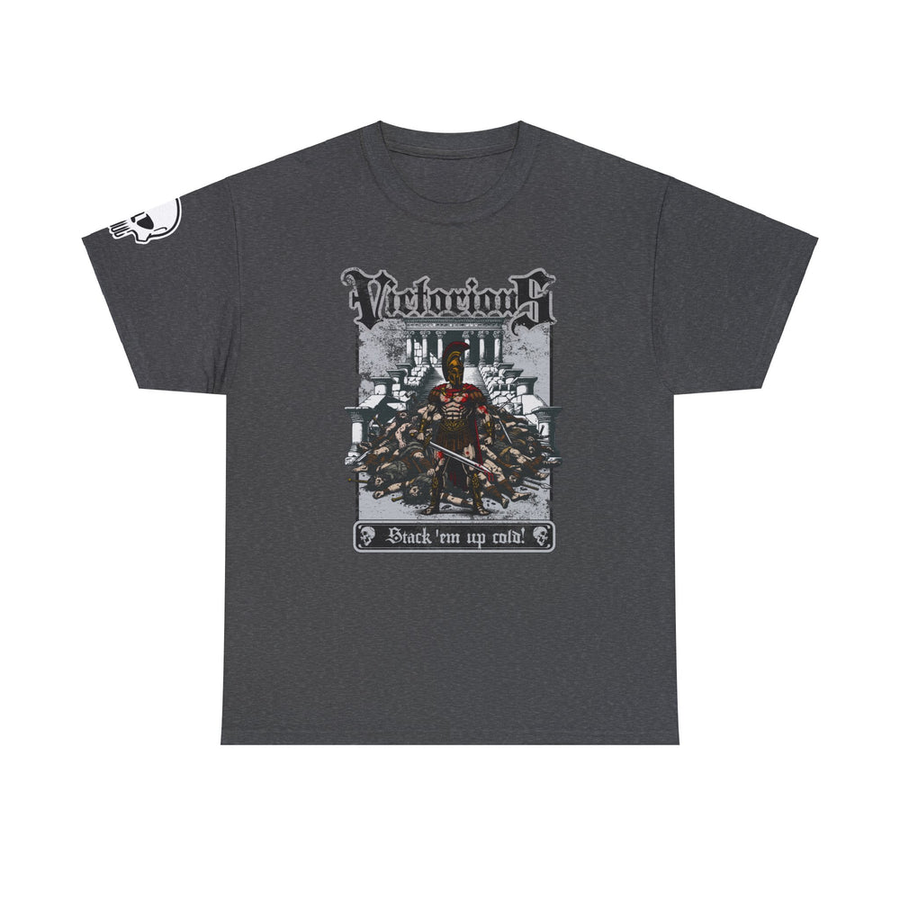 VICTORIOUS T SHIRT