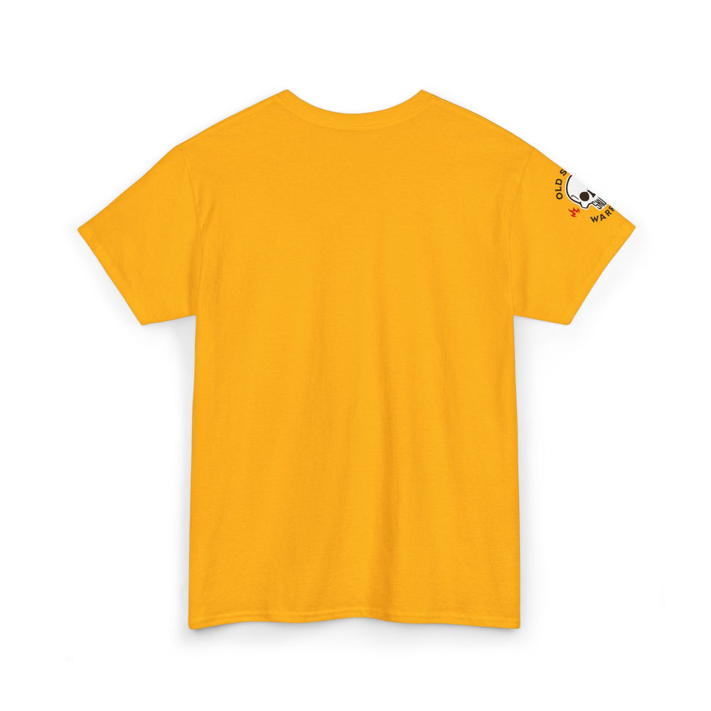 I PRACTICE JIUJESUSTU T SHIRT