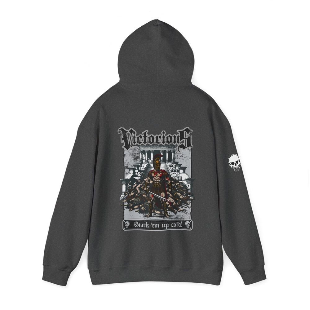 VICTORIOUS HOODIE