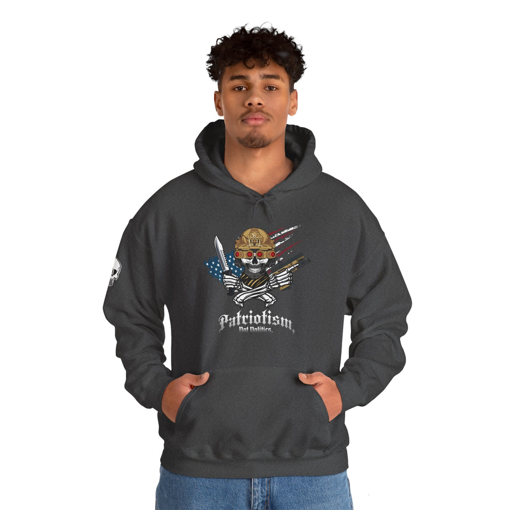 PATRIOTISM NOT POLITICS HOODIE