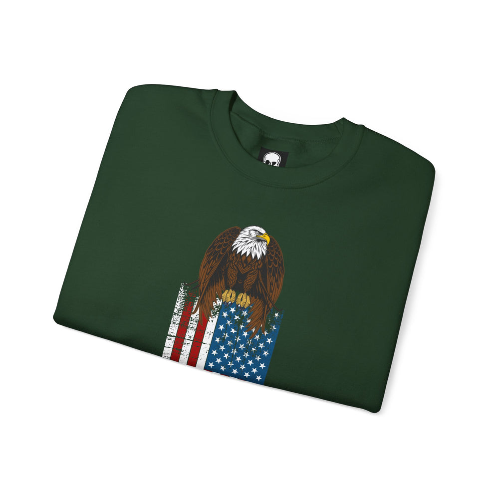 EAGLE USA FLAG SWEATSHIRT