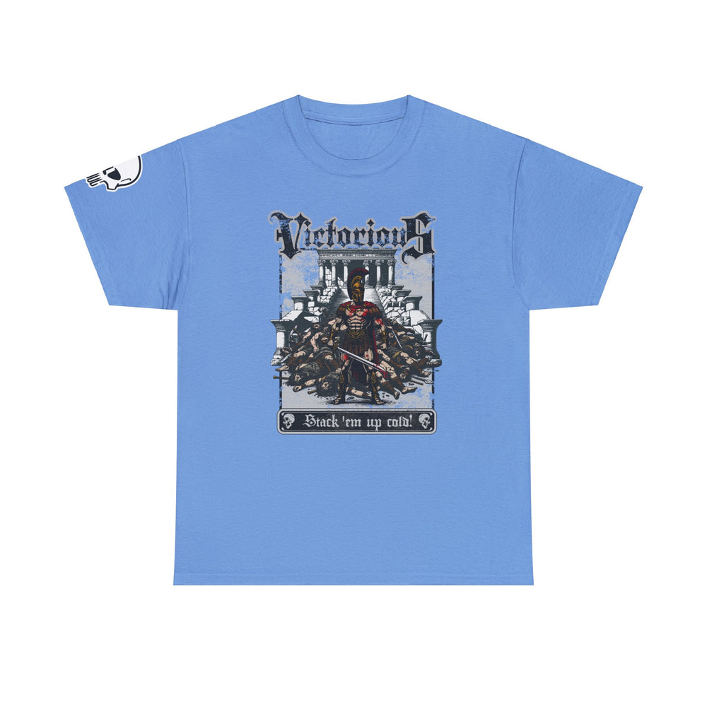 VICTORIOUS T SHIRT