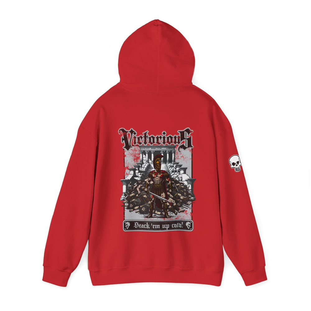 VICTORIOUS HOODIE