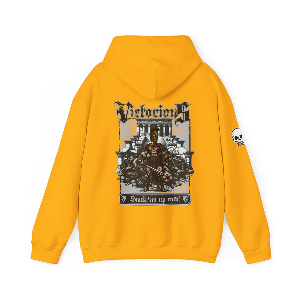 VICTORIOUS HOODIE