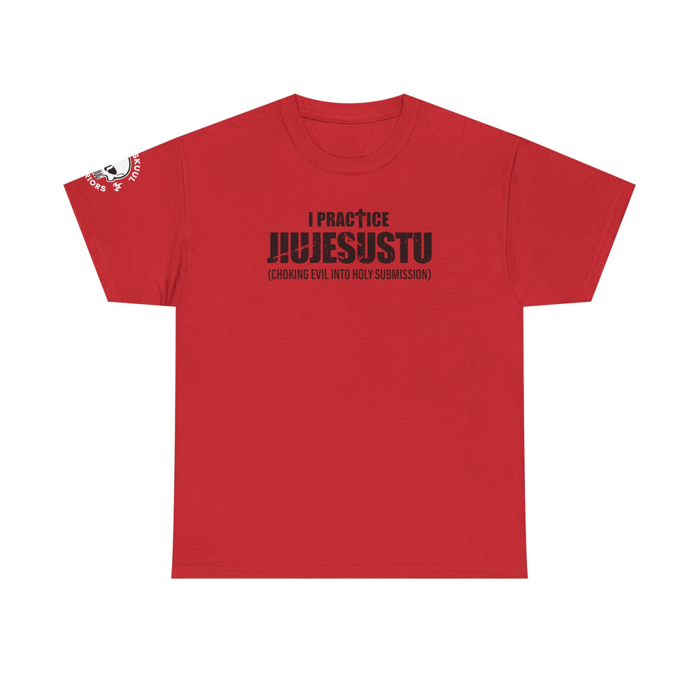 I PRACTICE JIUJESUSTU T SHIRT