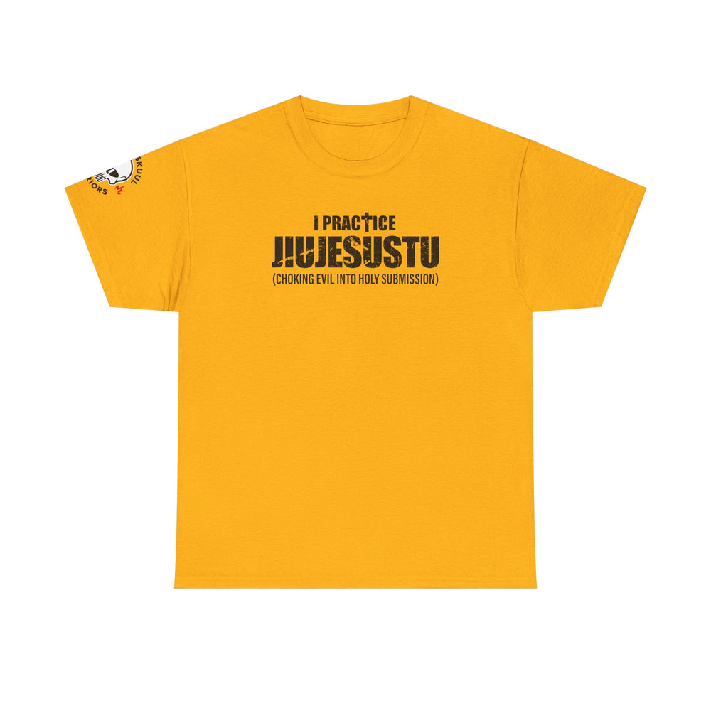 I PRACTICE JIUJESUSTU T SHIRT